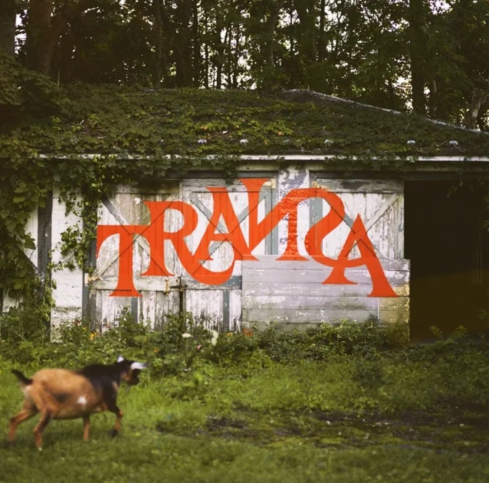 Our cover of Palehound&rsquo;s&nbsp;&ldquo;Aaron&rdquo; for&nbsp;TRAИƧA&nbsp;is out now via @redhotorg. The album is&nbsp;now also available for preorder as a limited edition vinyl box set at transa.world.

TRANSA&nbsp;gathers 100+ artists in celebra