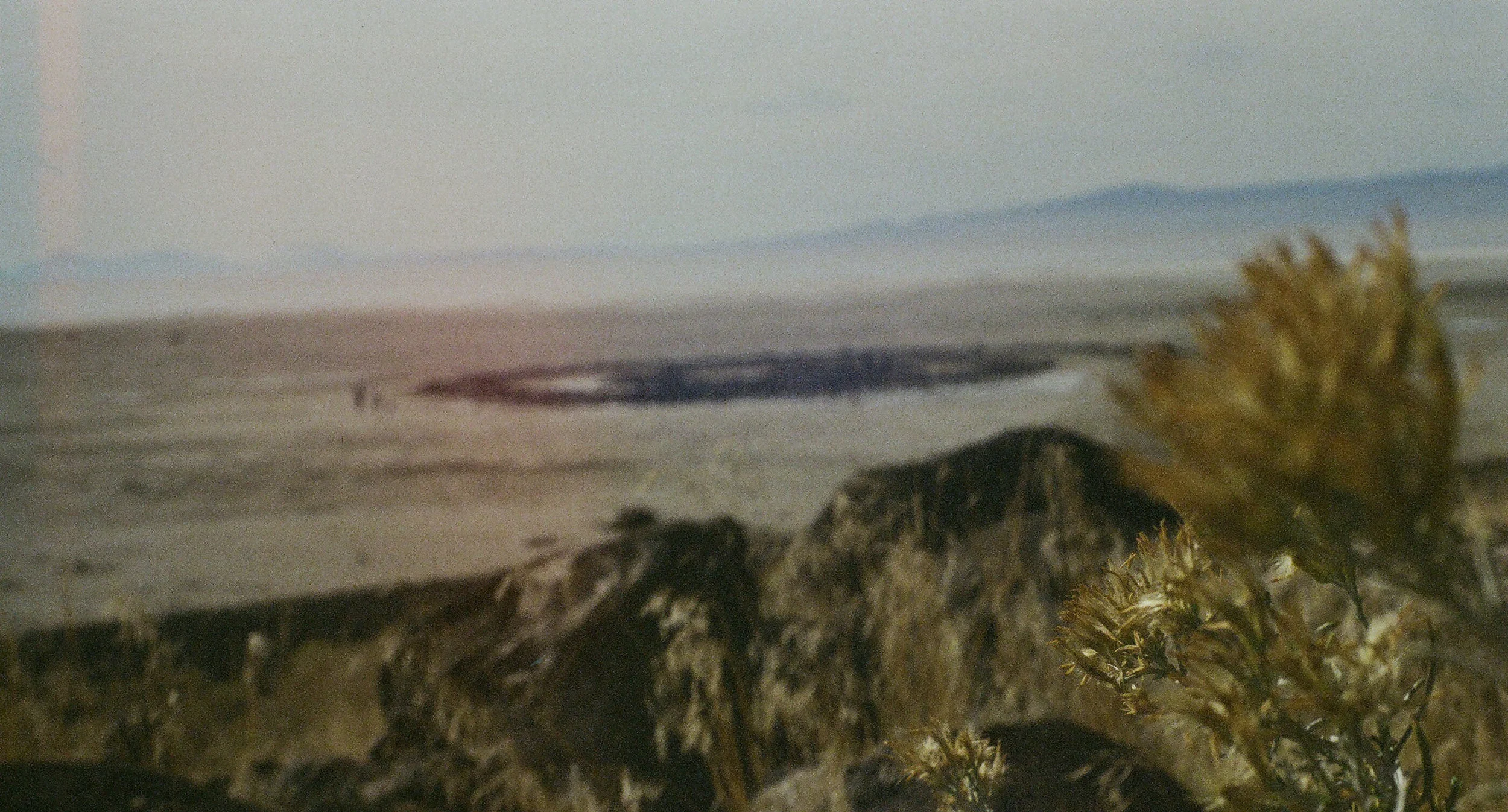 oct 2016 color jetty close.jpg
