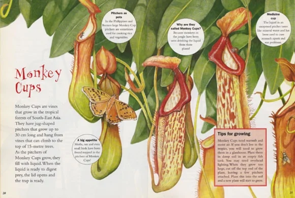 Monkeycup-folio.jpg
