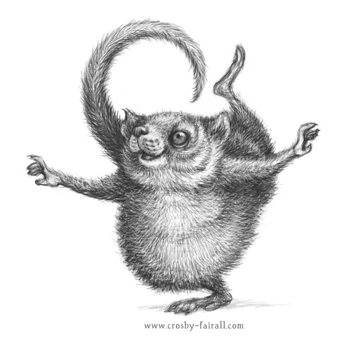 PossumFacebook.jpg