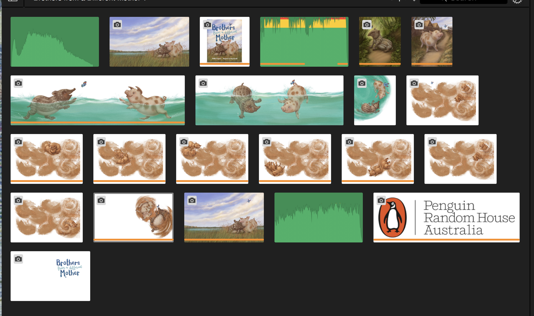 My "ingredients" sitting in my iMovie media folder.