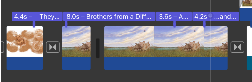 A portion of the timeline showing the images, text and some transitions.