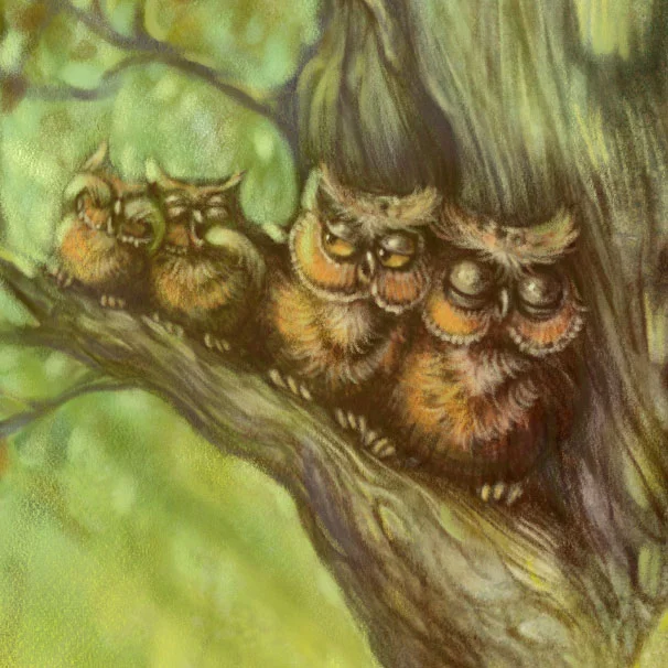treehouseowls.jpg