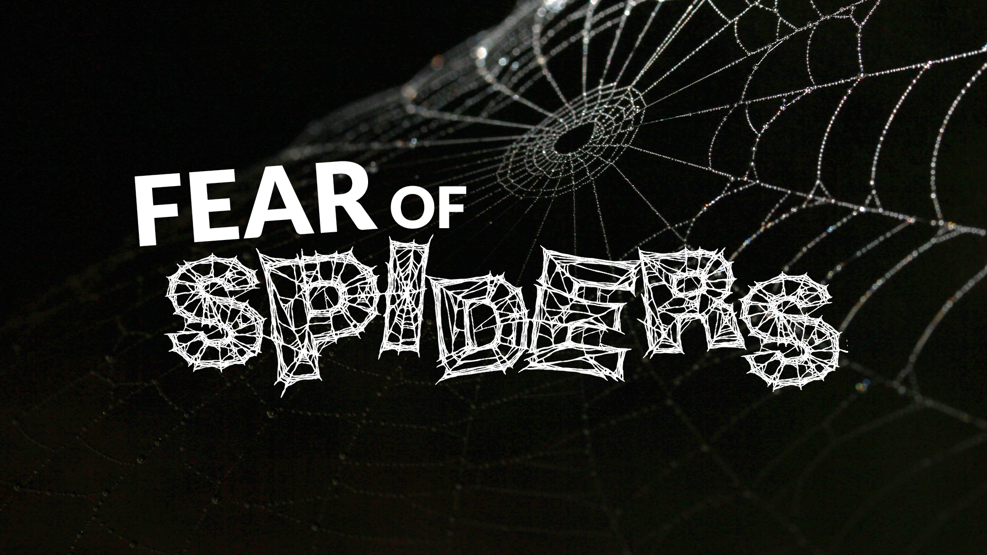 MONITOR Fear of Spiders 060723 ceb.png