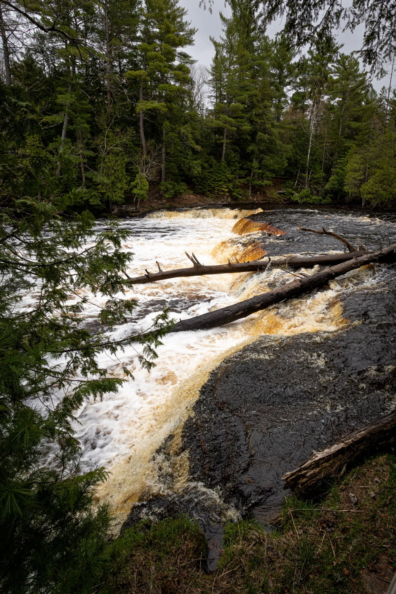Lower Falls