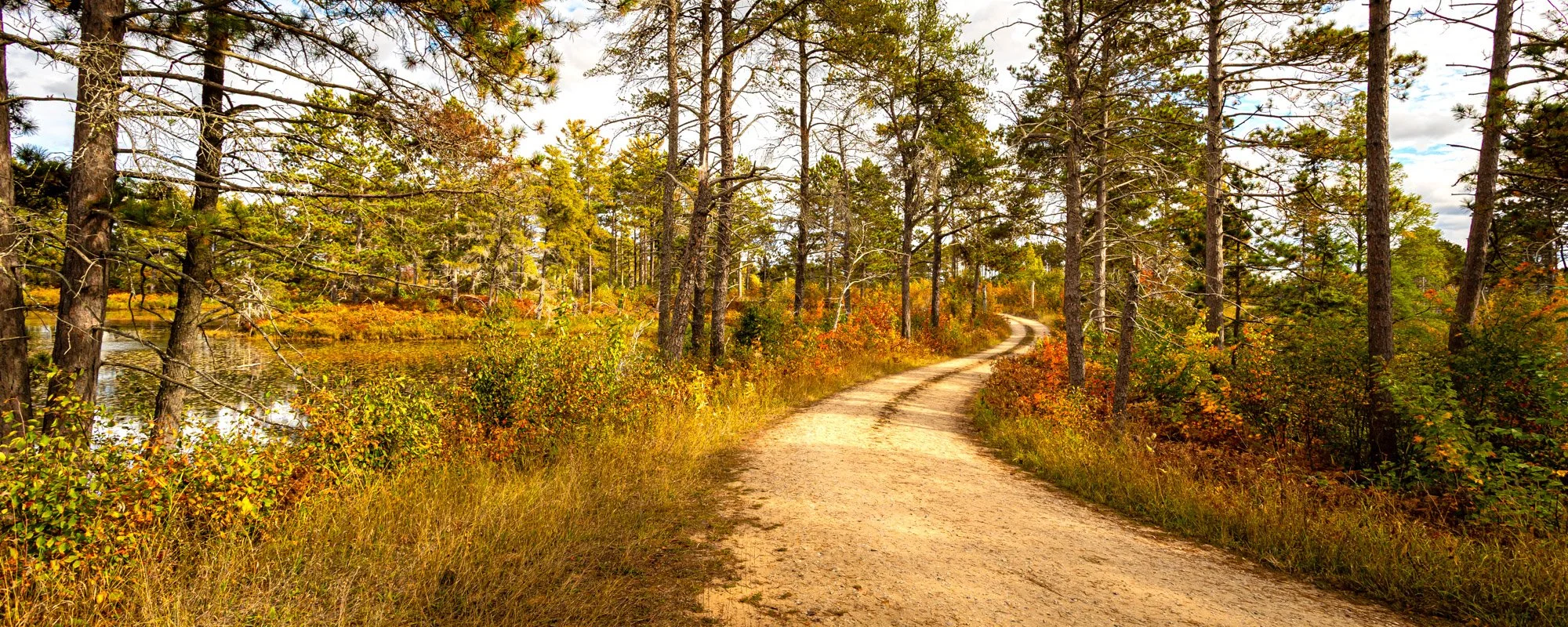 Seney NWR-37.jpg