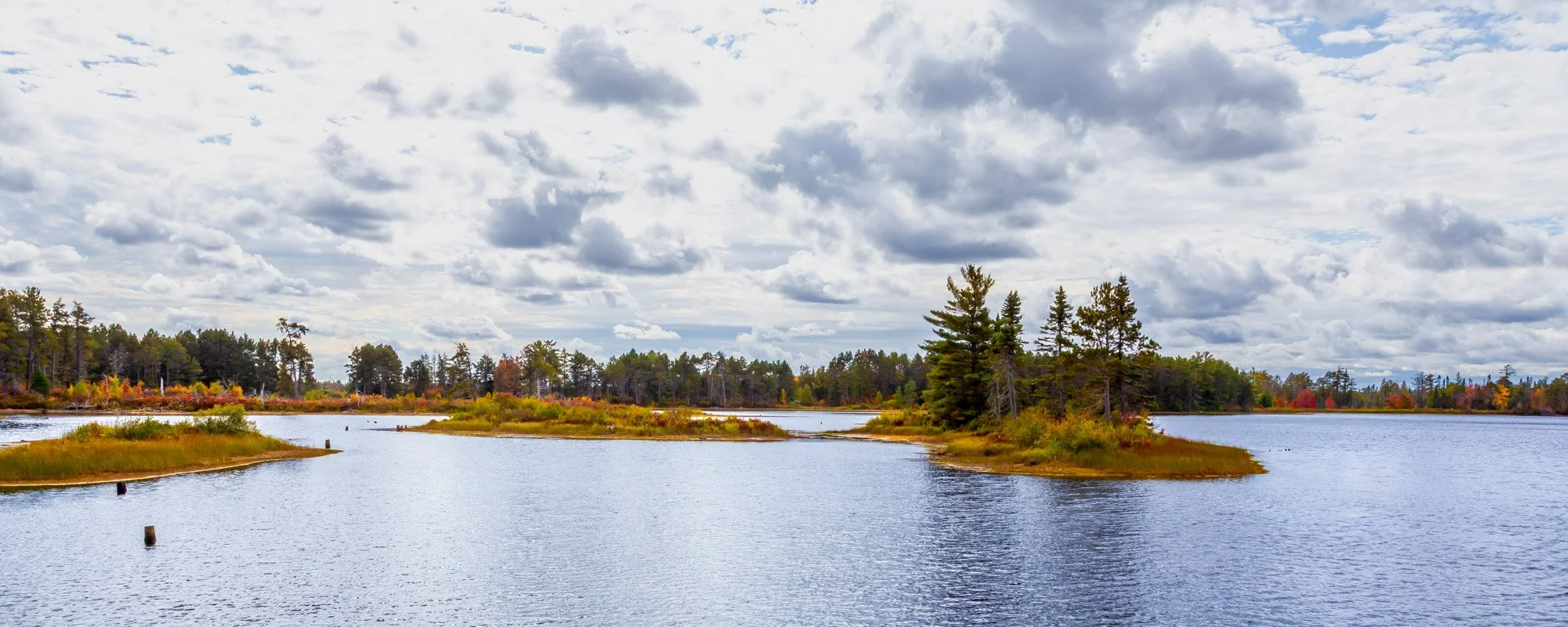 Seney NWR-30.jpg