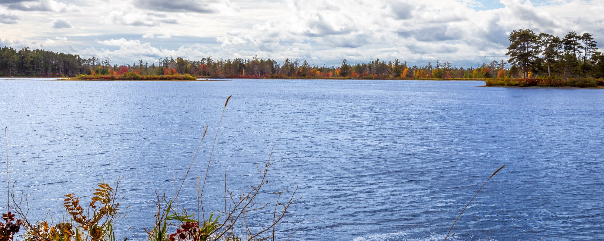 Seney NWR-22.jpg