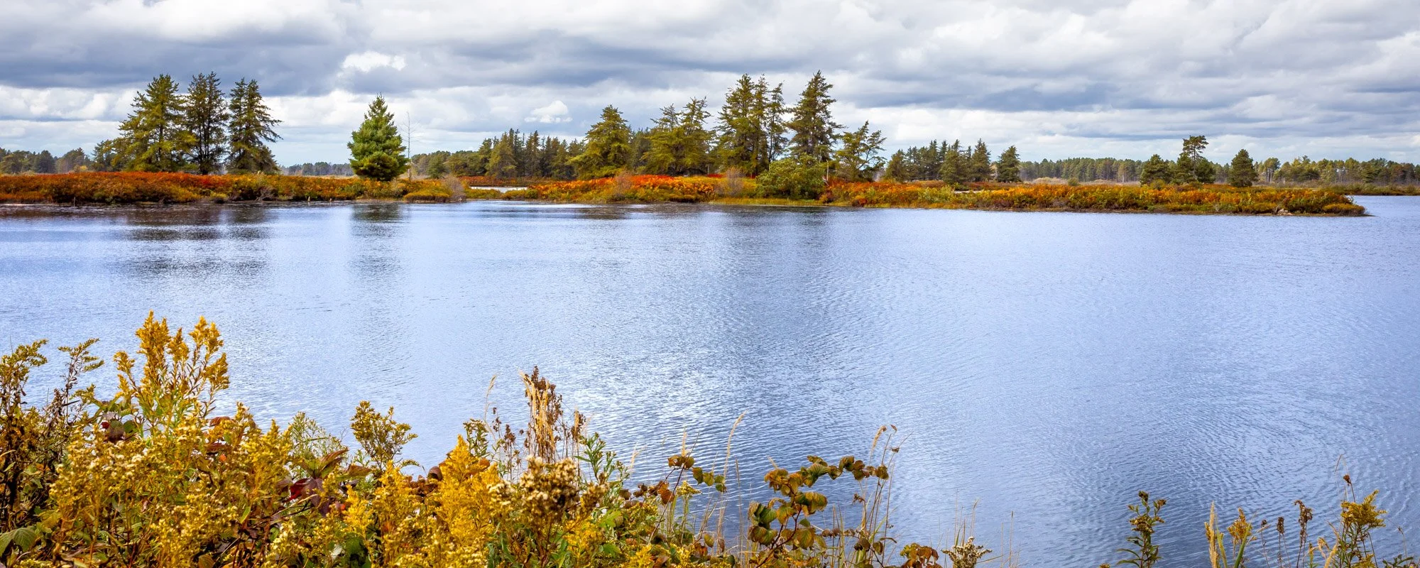 Seney NWR-15.jpg