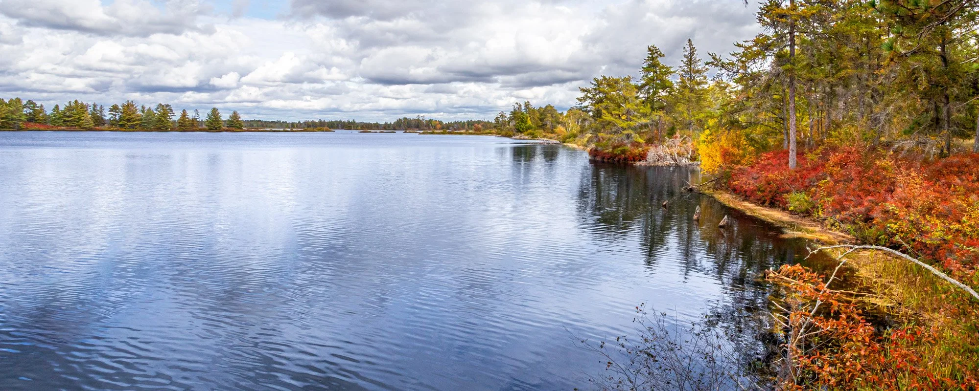 Seney NWR-13.jpg