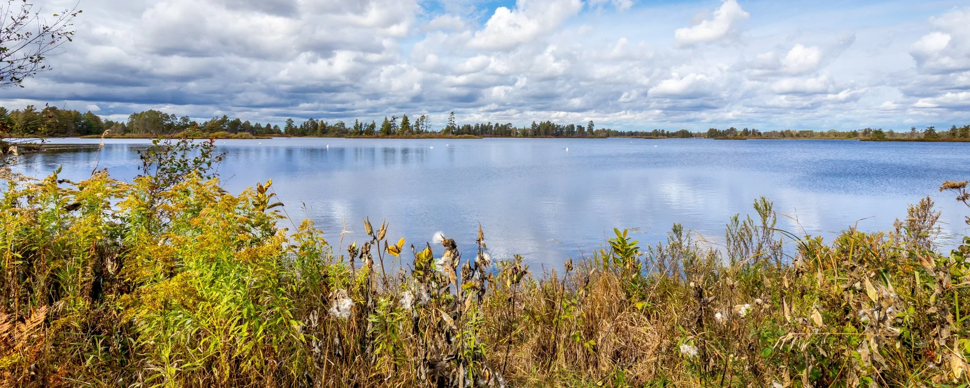 Seney NWR-10.jpg