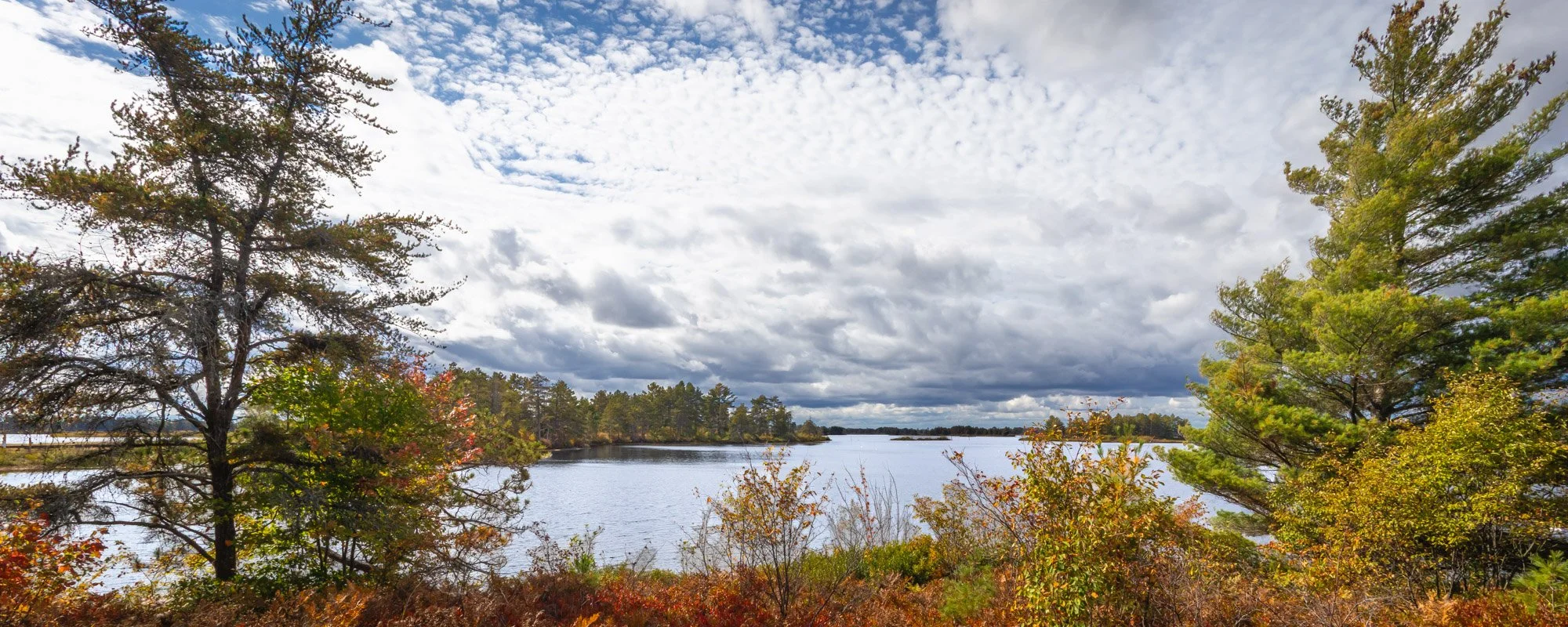 Seney NWR-7.jpg