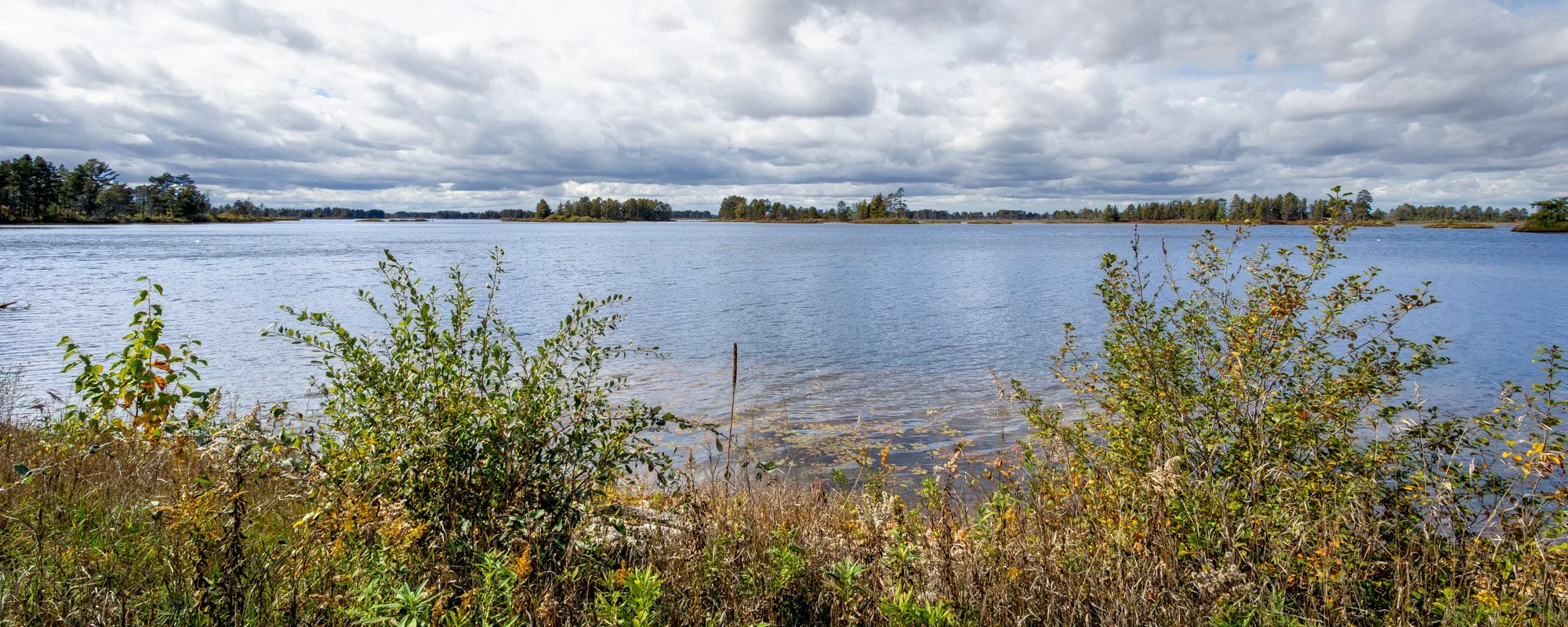 Seney NWR-1.jpg