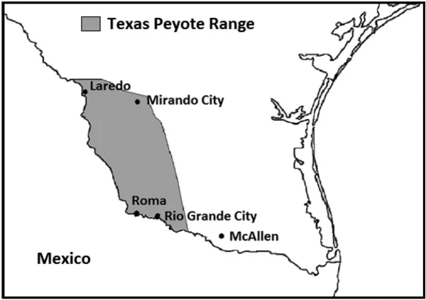 image1.jpg