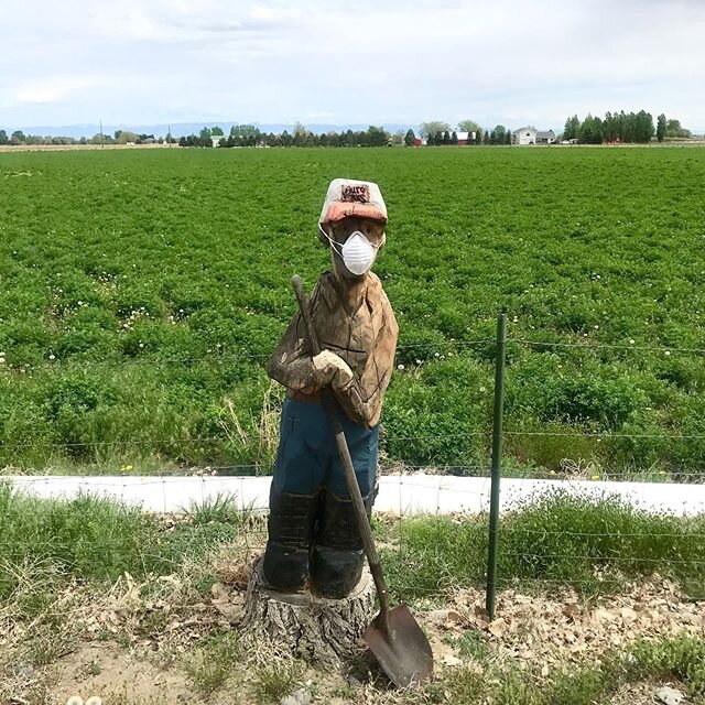 Tree Stump Carving, Powell, Wyoming

#chainsawsculpture #chainsawart #signofthetimes #covid19 #yearofcovid #parkcountywyoming