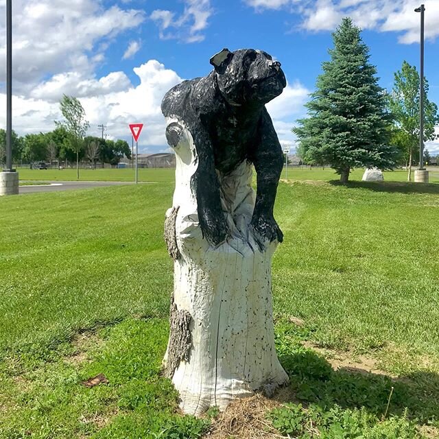 Tree trunk dog carving in Homesteader Park, Powell, Wyoming

#chainsawcarving #chainsawart