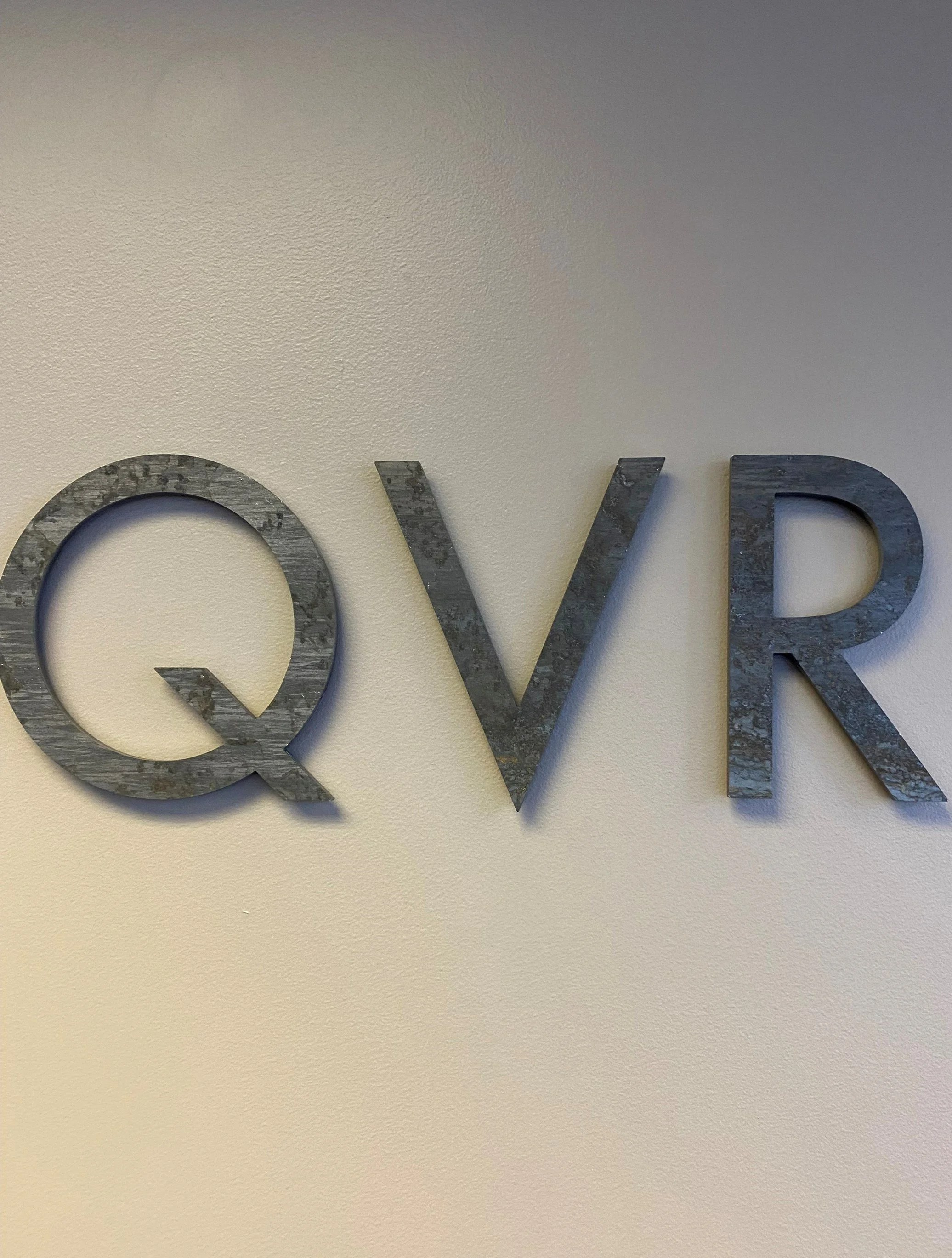 QVR.jpg