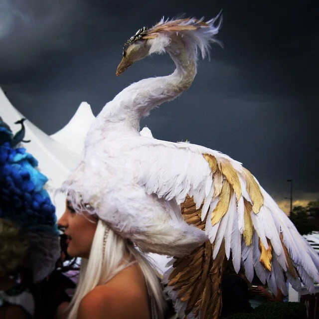 Paper Mache_ Bouma_Odette.jpg