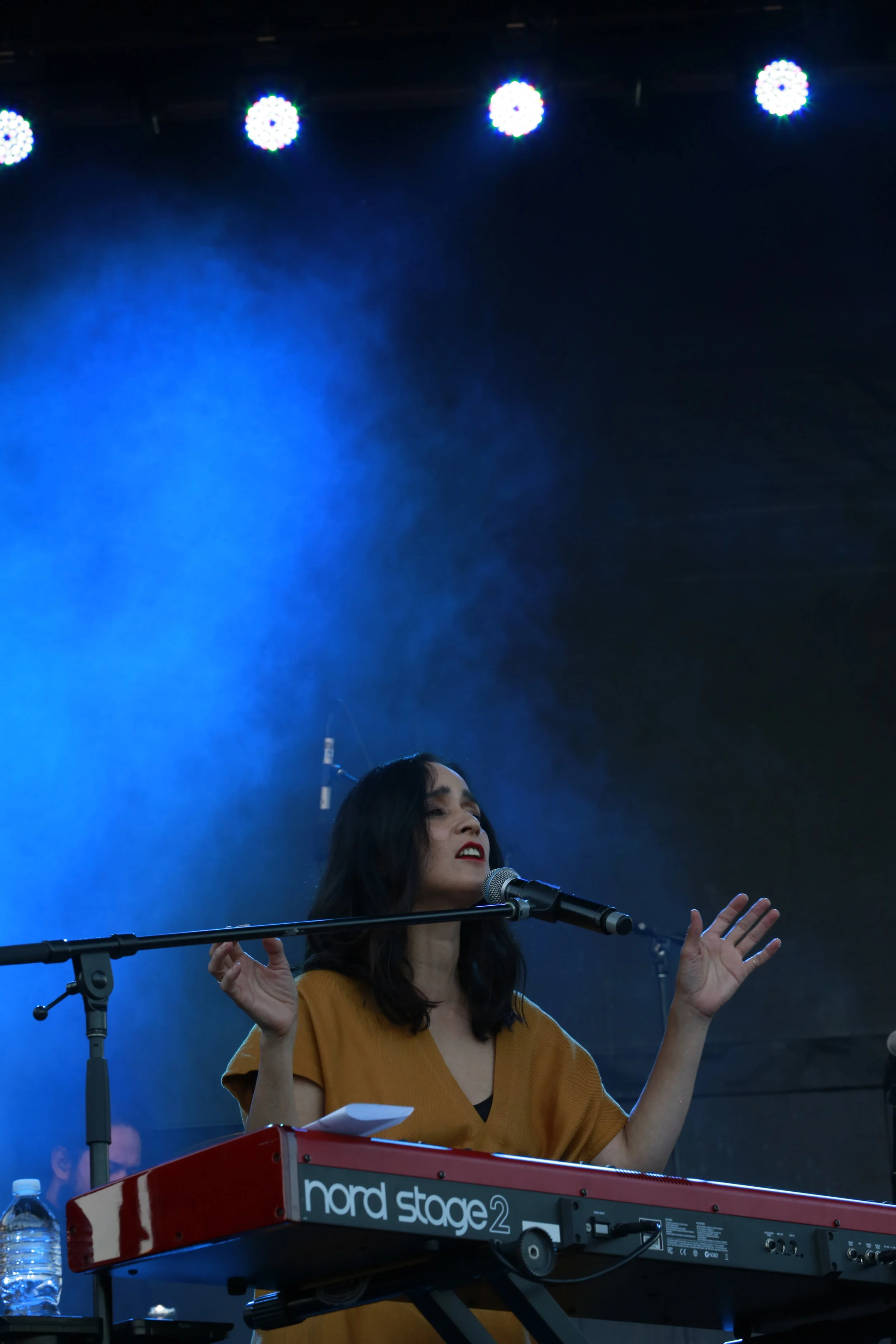 Julieta Venegas