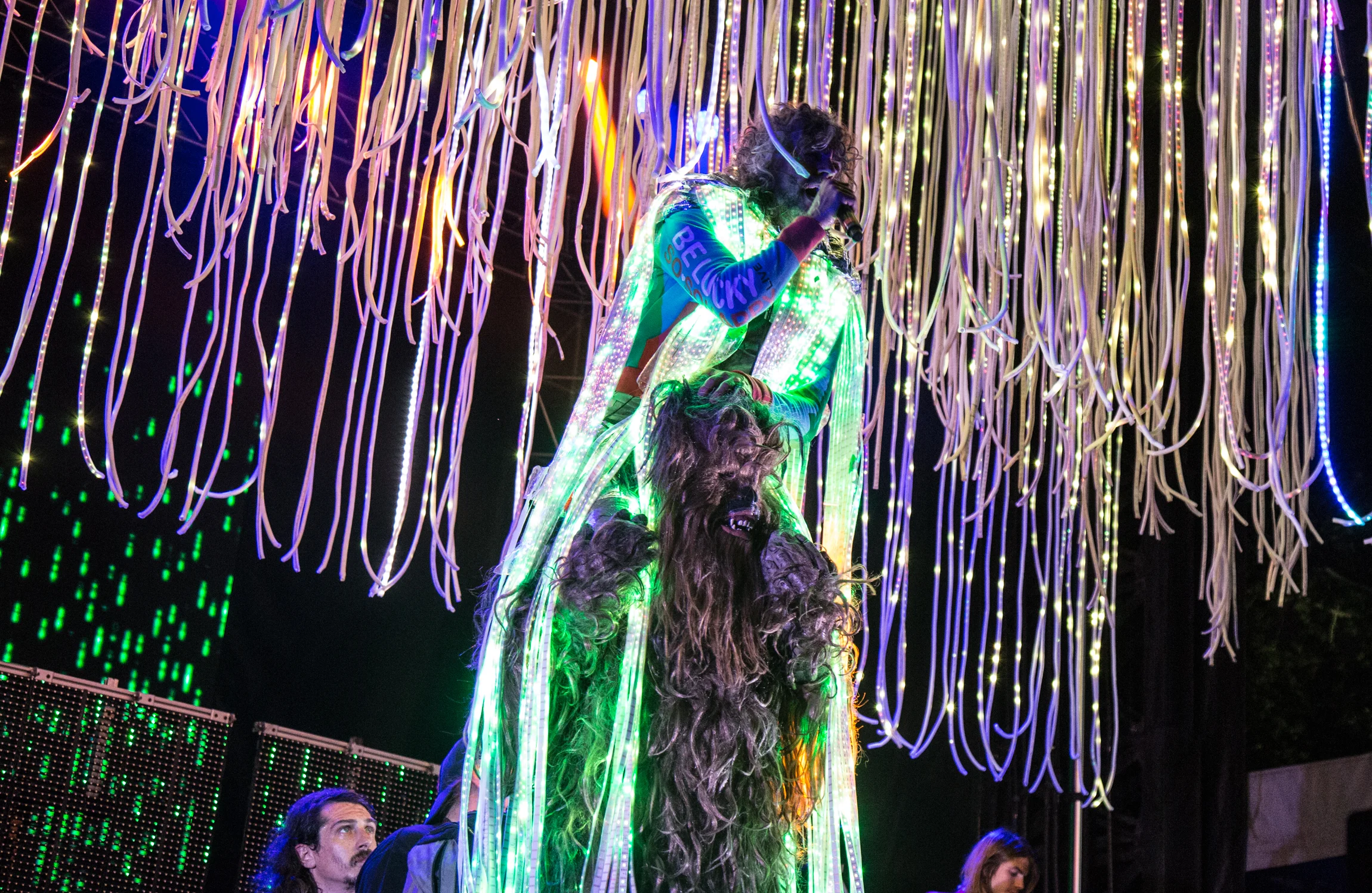 The Flaming Lips