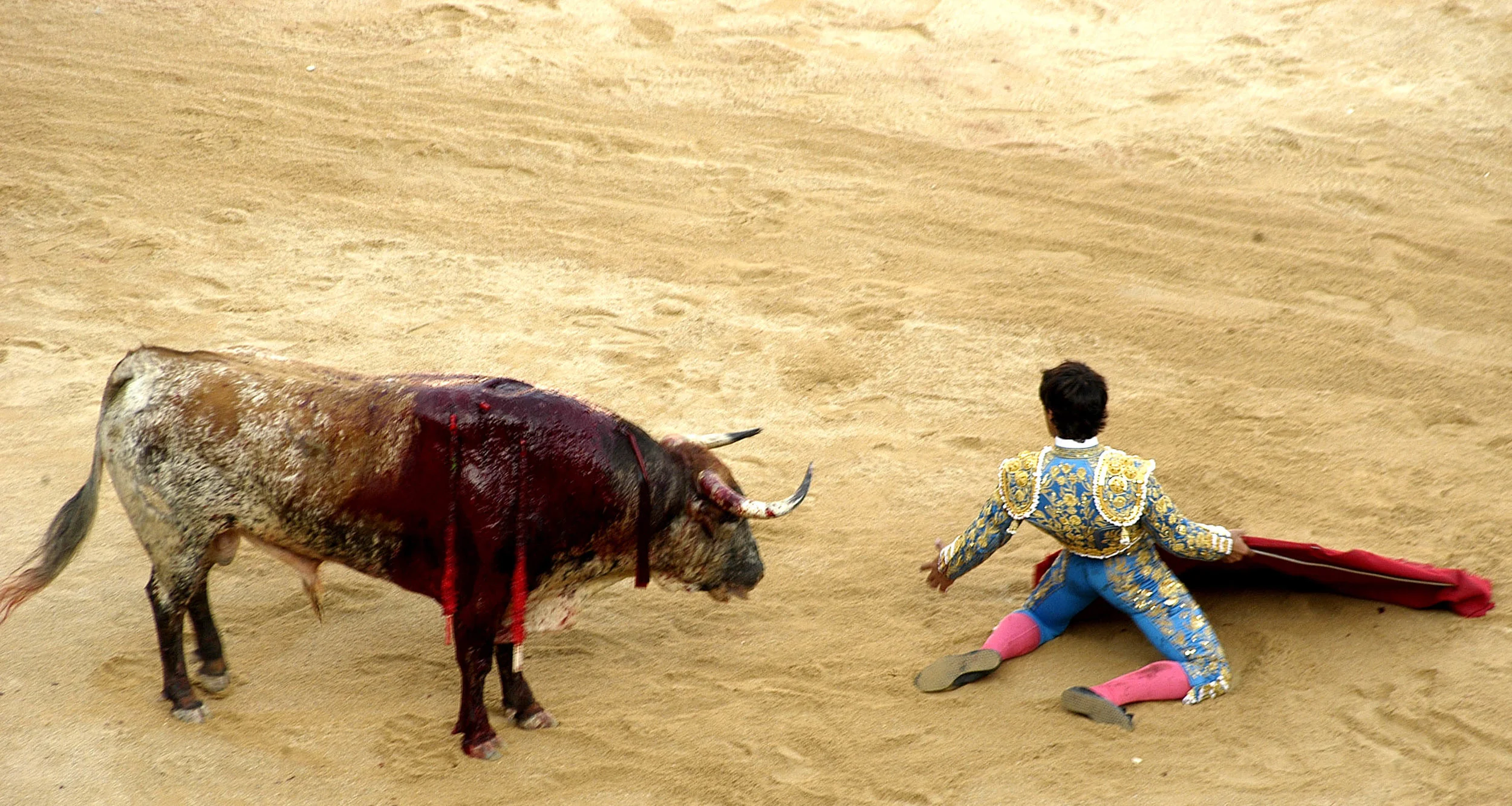 Fotoensayo torero mmi 18.jpg
