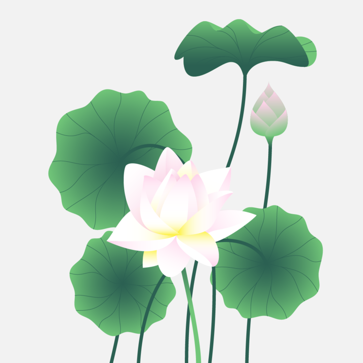 Lotus_001-01.png