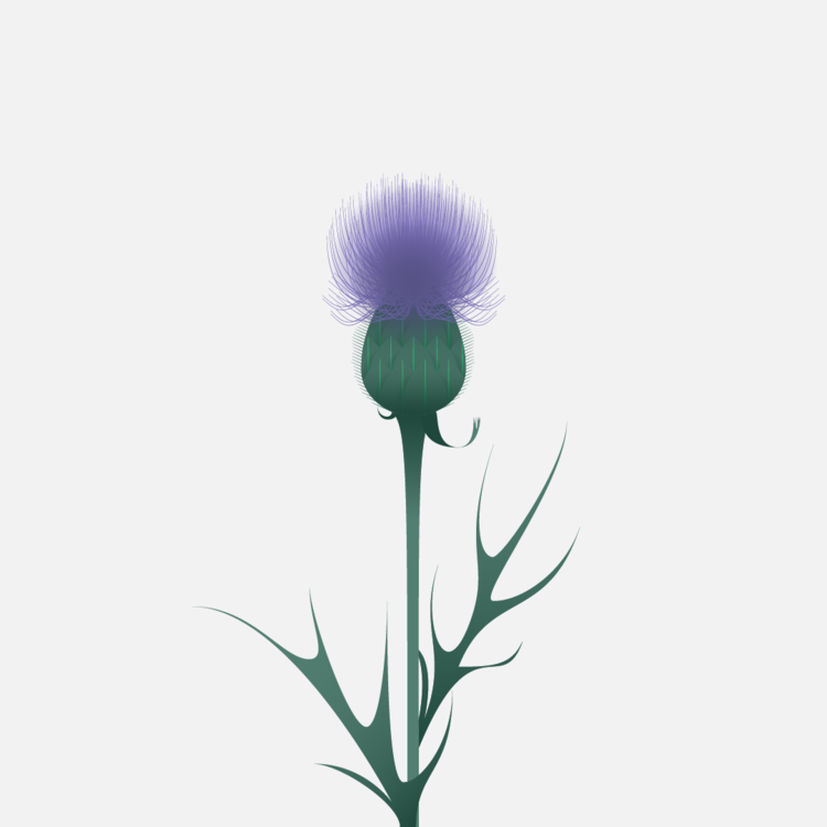 Thistle_001-01.png