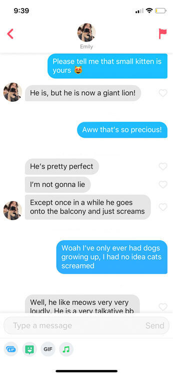 What to Say to a Girl on Tinder with 30+ Screenshot Examples