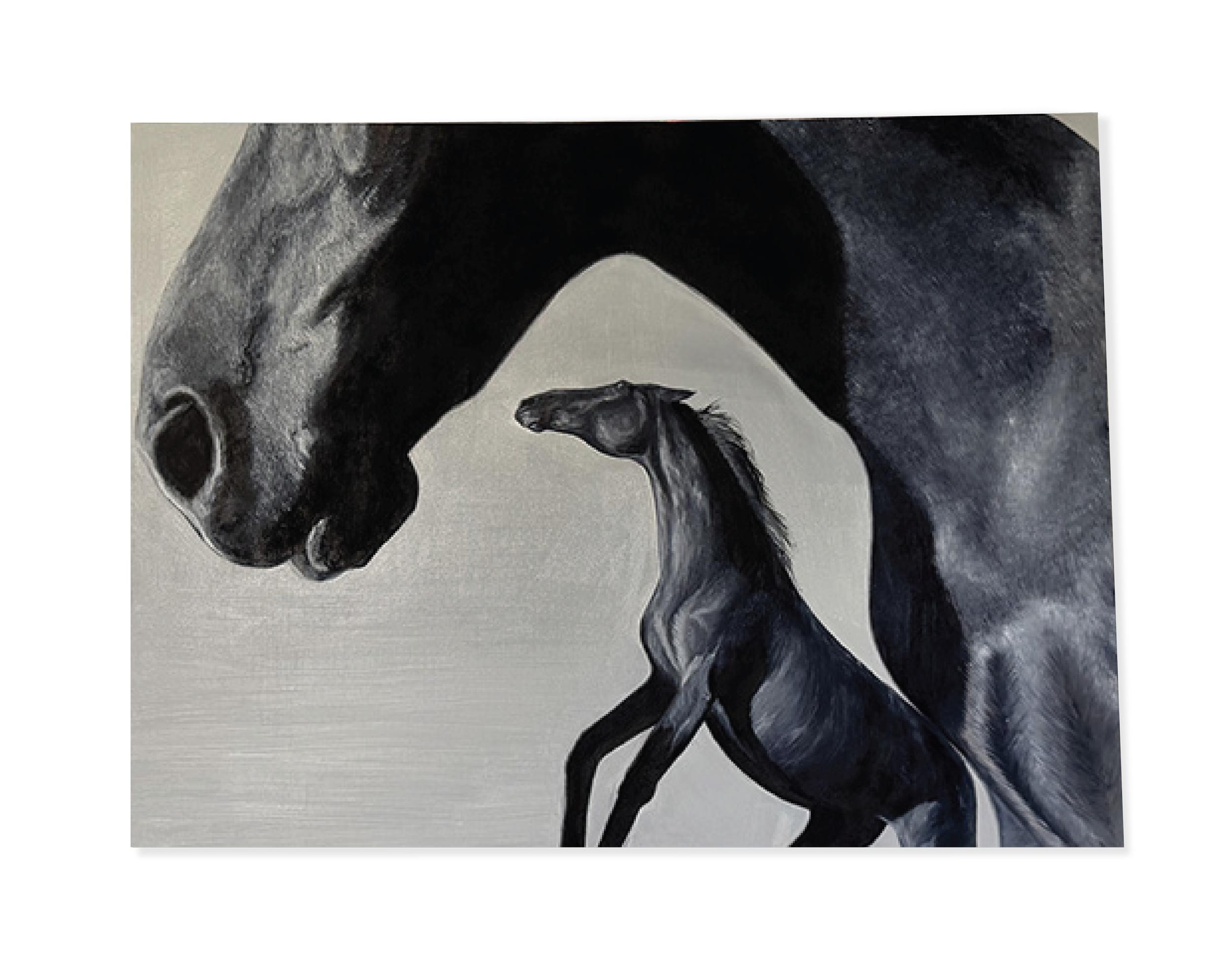 Wild Horses