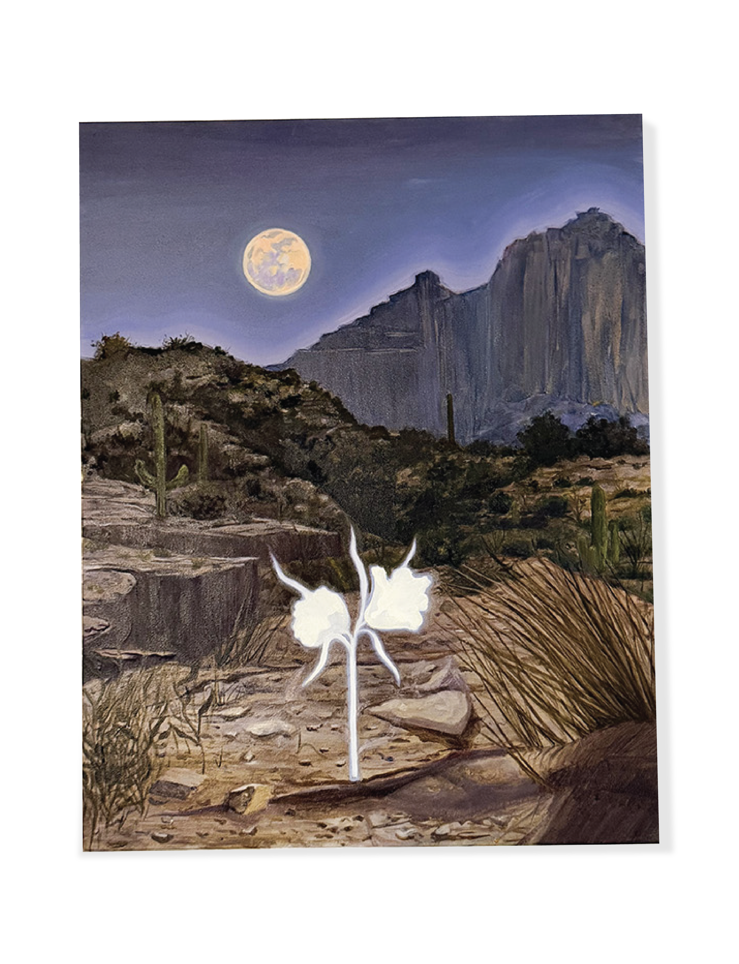 Desert Ghost