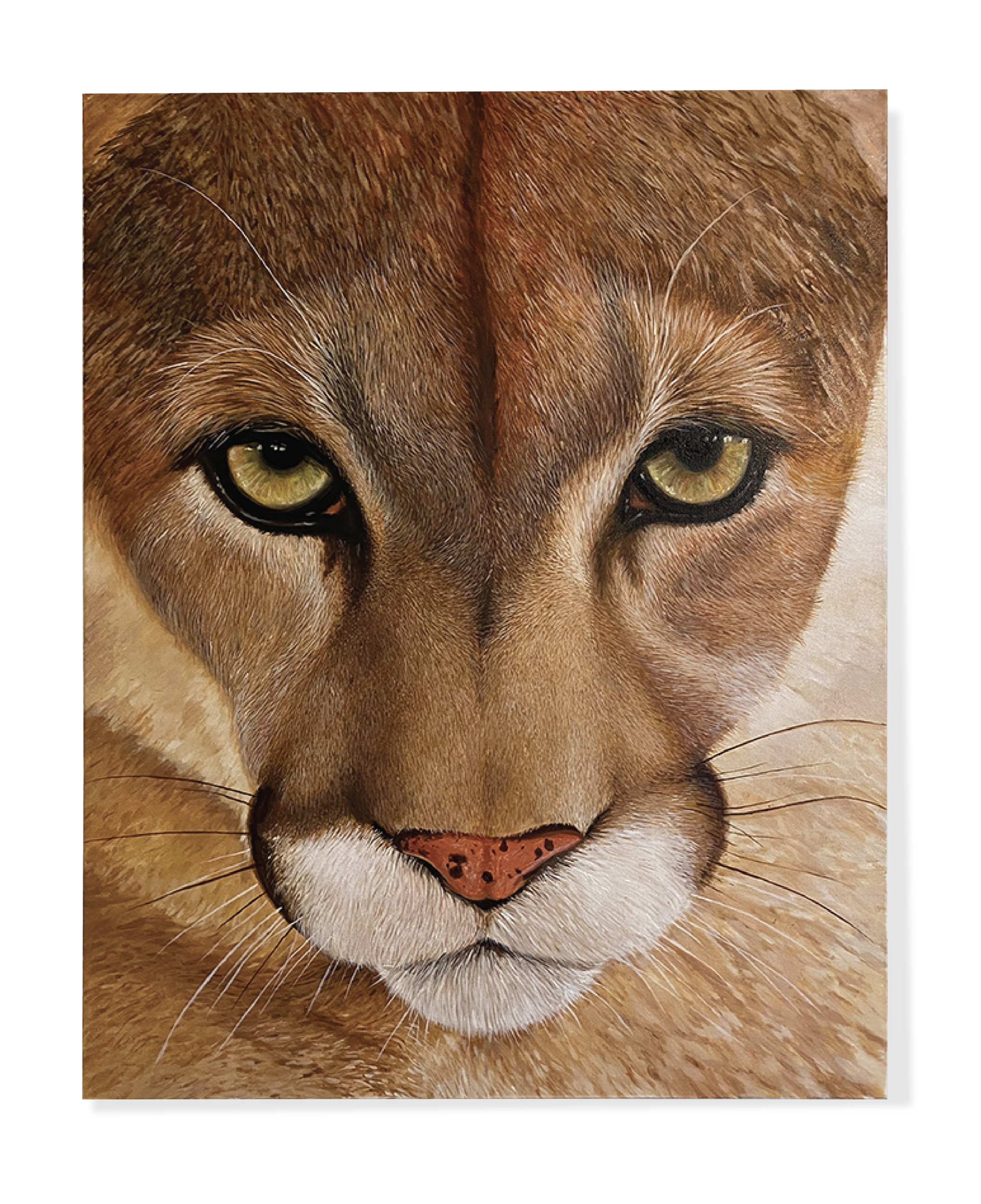 Big Cat Energy