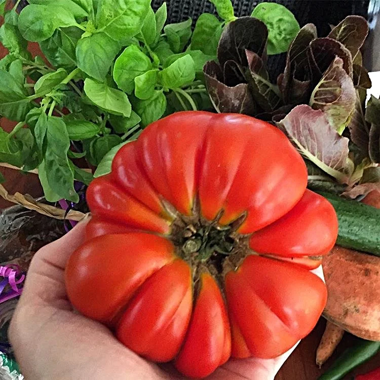 Beautiful fresh produce from Jan Power's Farmers Market.