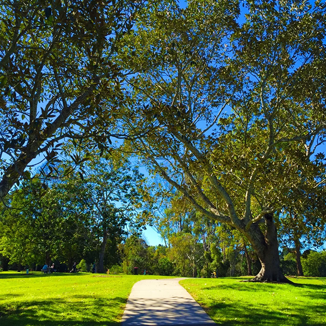 Sherwood Arboriteum