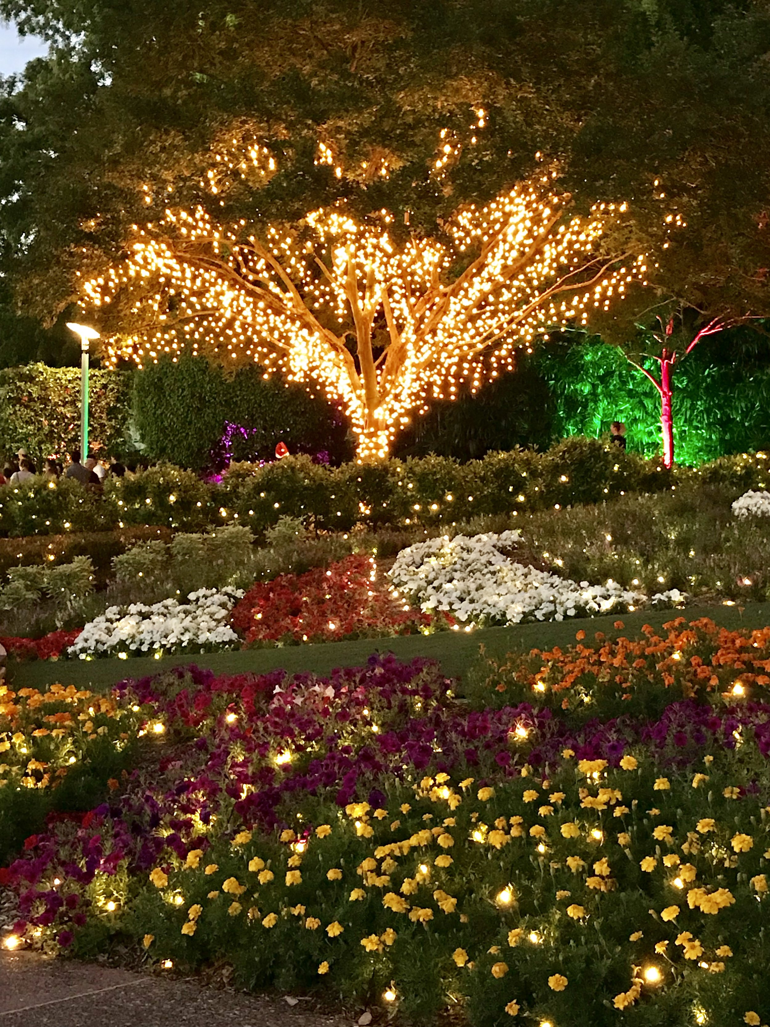 The Enchanted Garden 2020 Brisbane