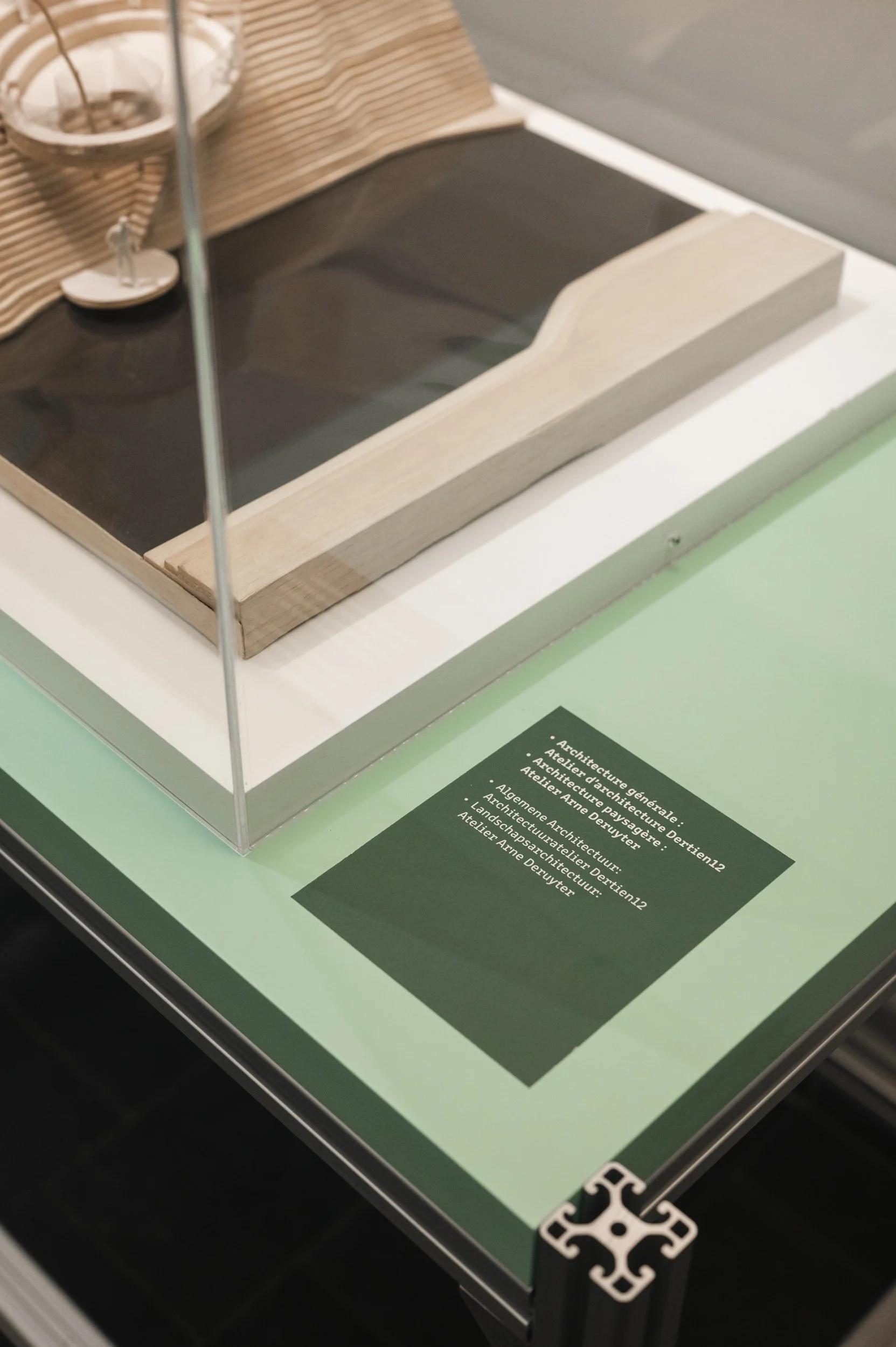 DenisDecaluwe_LouisLuyten_EXPO RIOLENMUSEUM-HR-16.jpg