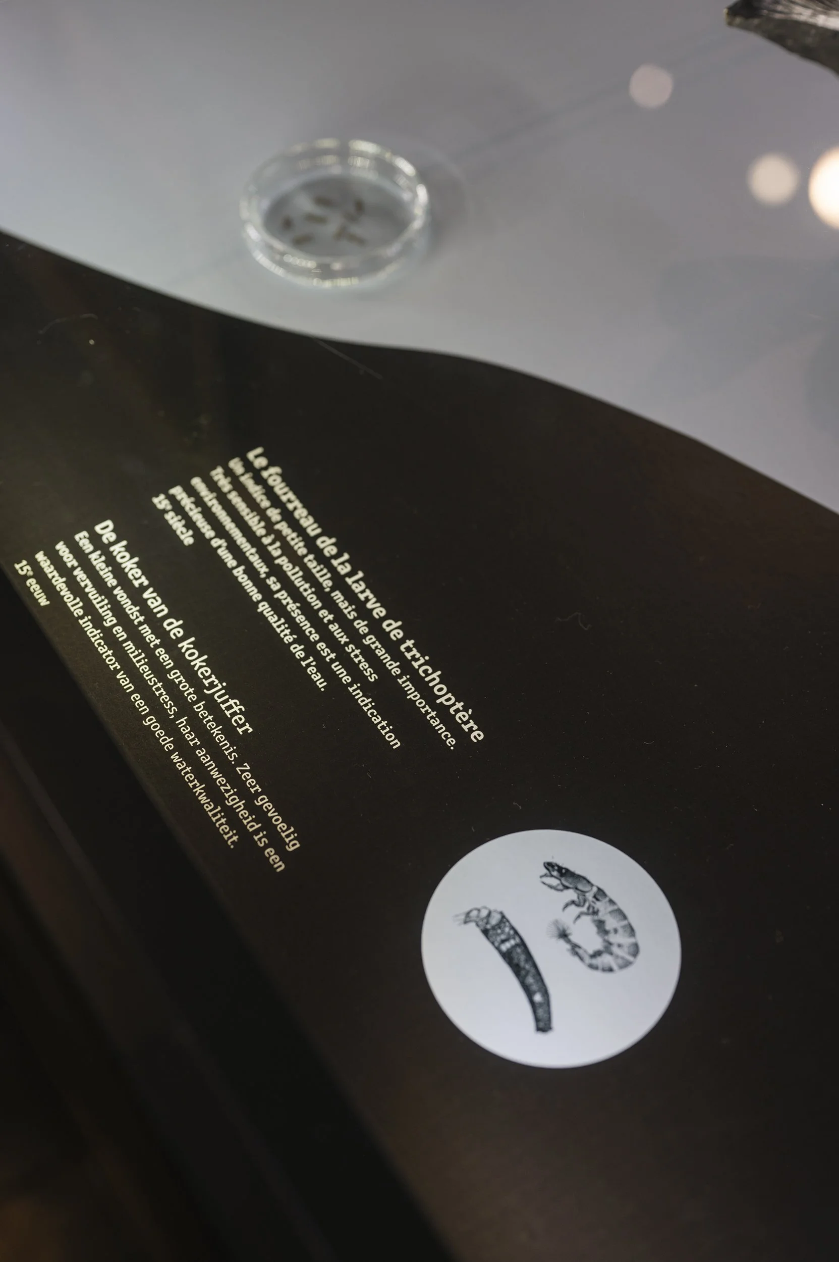 DenisDecaluwe_LouisLuyten_EXPO RIOLENMUSEUM-HR-06.jpg