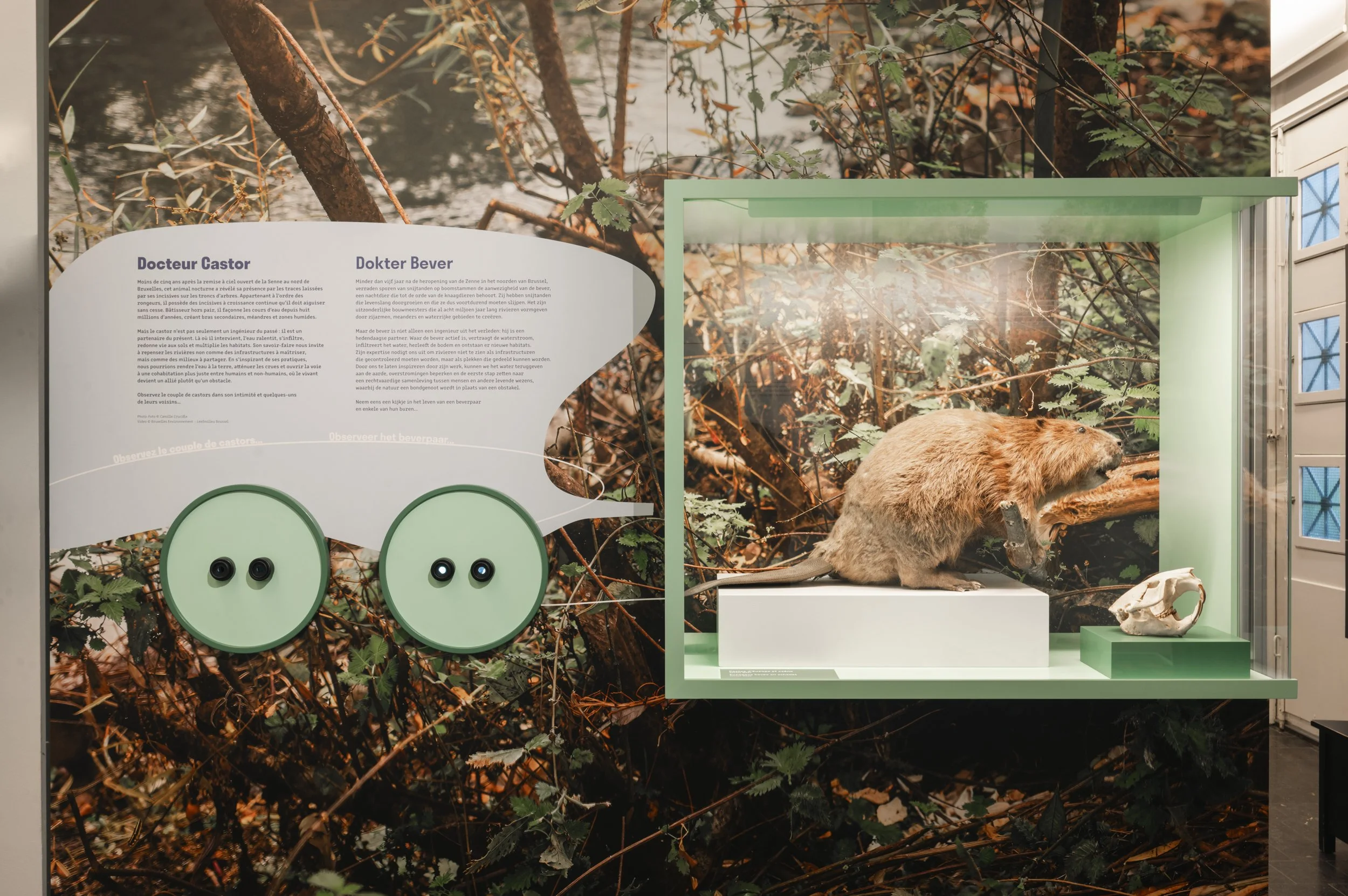 DenisDecaluwe_LouisLuyten_EXPO RIOLENMUSEUM-HR-13.jpg