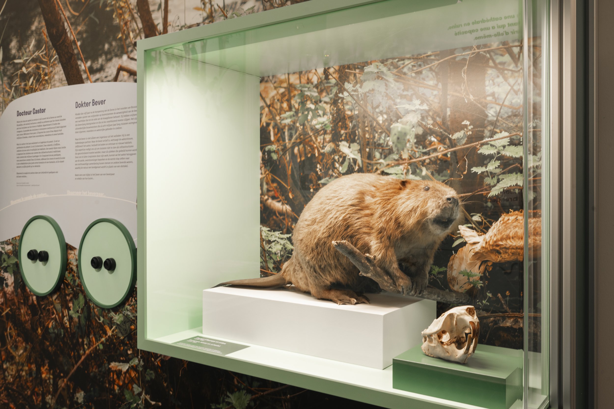 DenisDecaluwe_LouisLuyten_EXPO RIOLENMUSEUM-HR-29.jpg