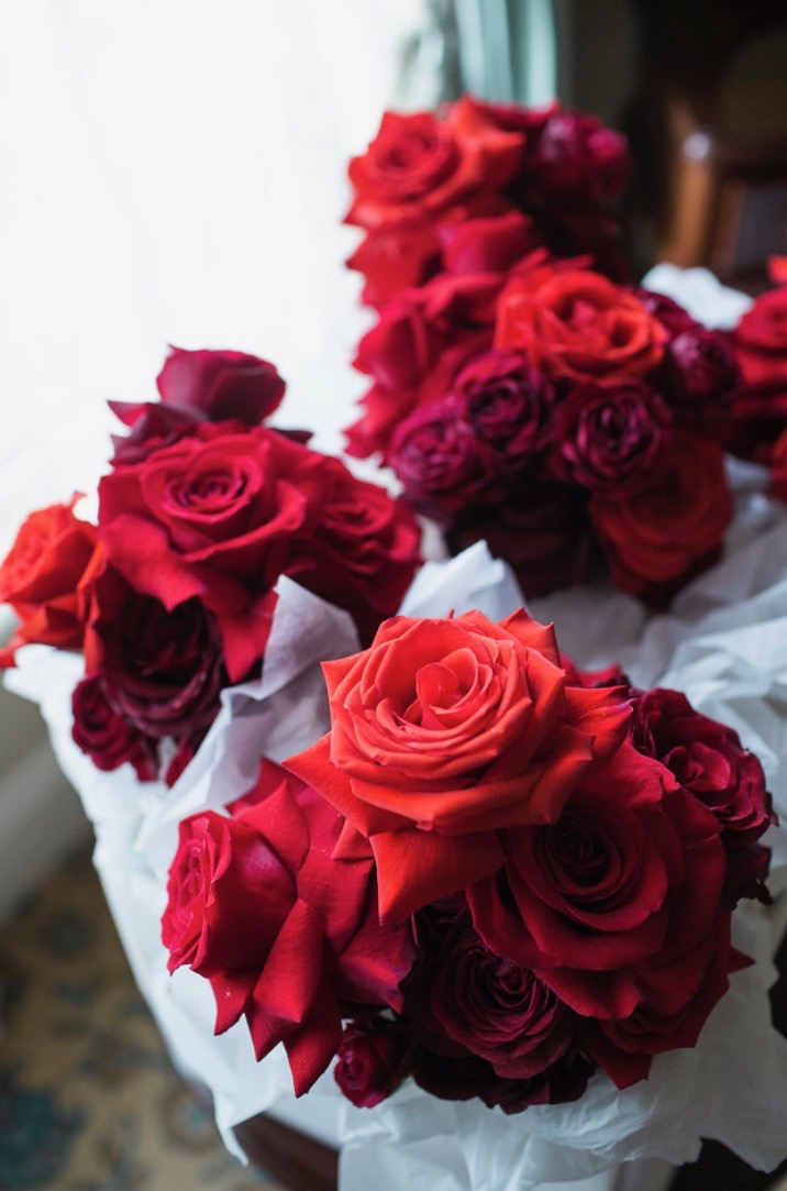 Serene-Kovacs-Flowers_05.jpeg