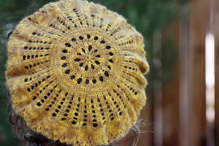 Urania's Tam ©Romi Hill