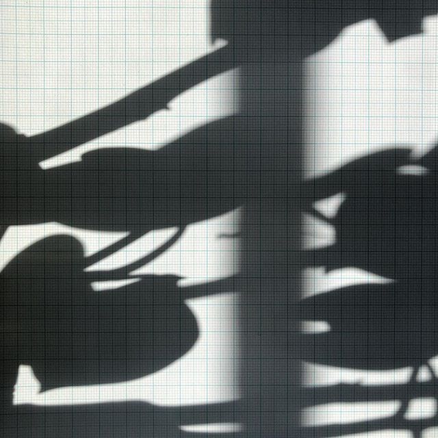 Haphazardly beautiful #shadowhunters #shadow #plants #milimeterpapir #stillmandesign #graphpaper #everydayaesthetics #haphazardlybeautiful