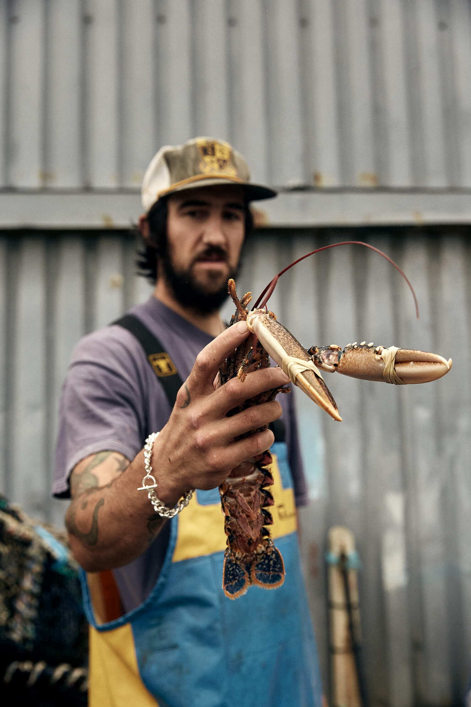 colour photo of fisherman holding a lobster to the camera, wearing a silver bracelet