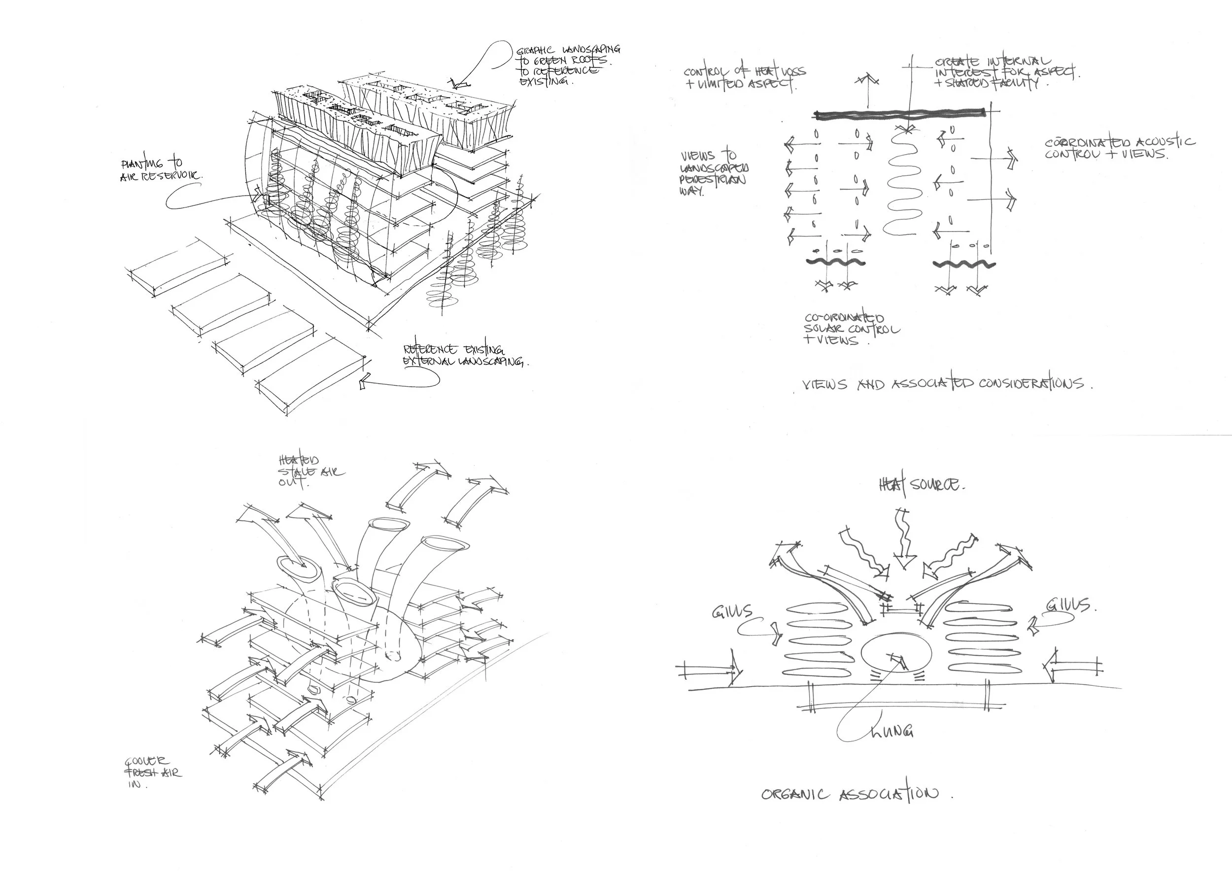 Sketches.jpg