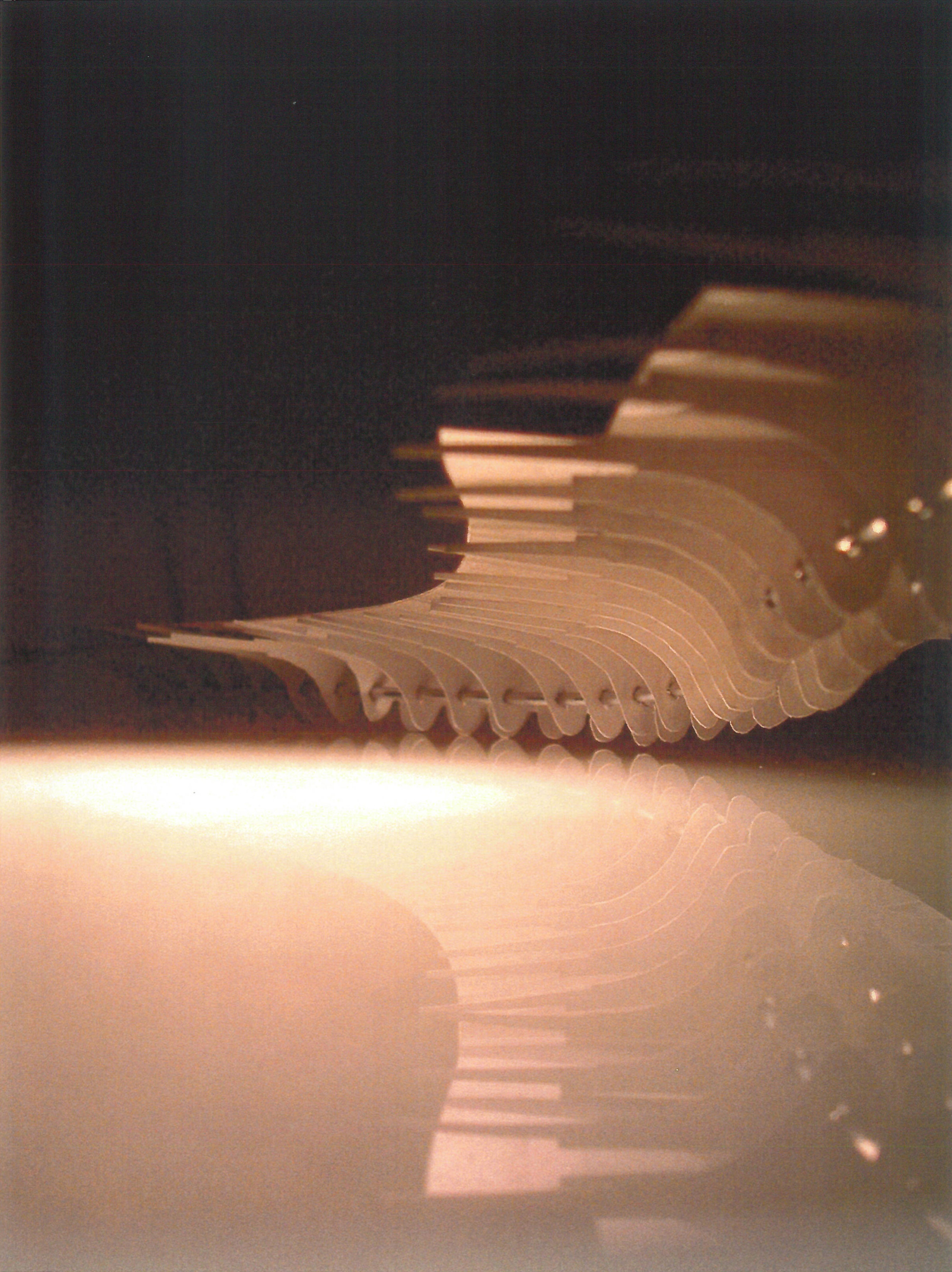 bridge 02.jpg