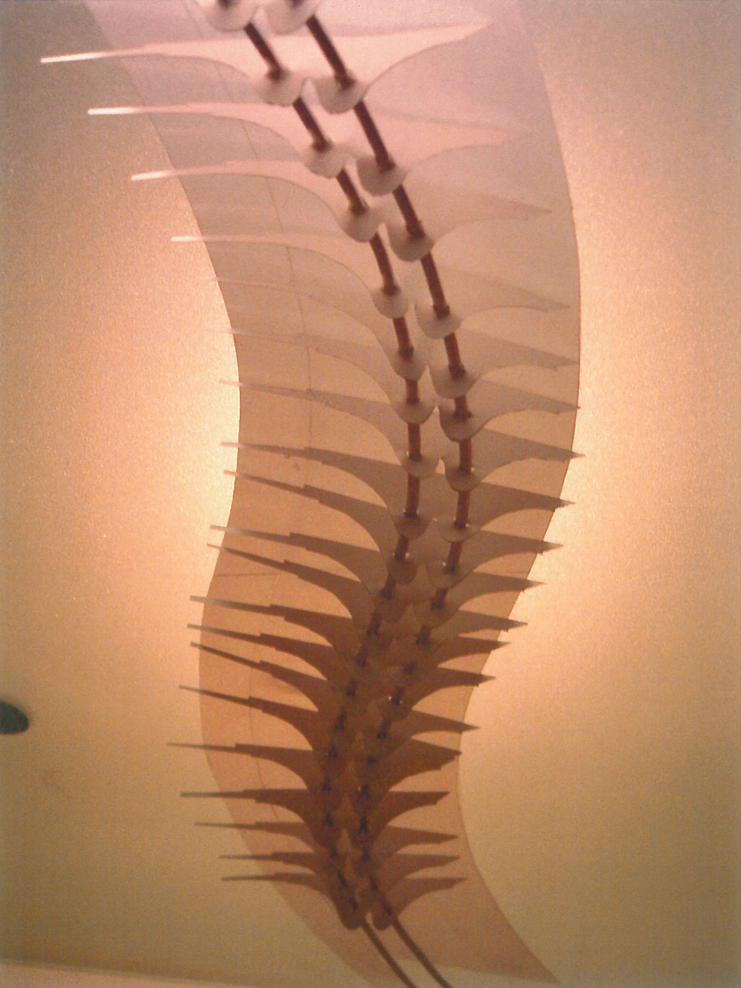 bridge 03.jpg