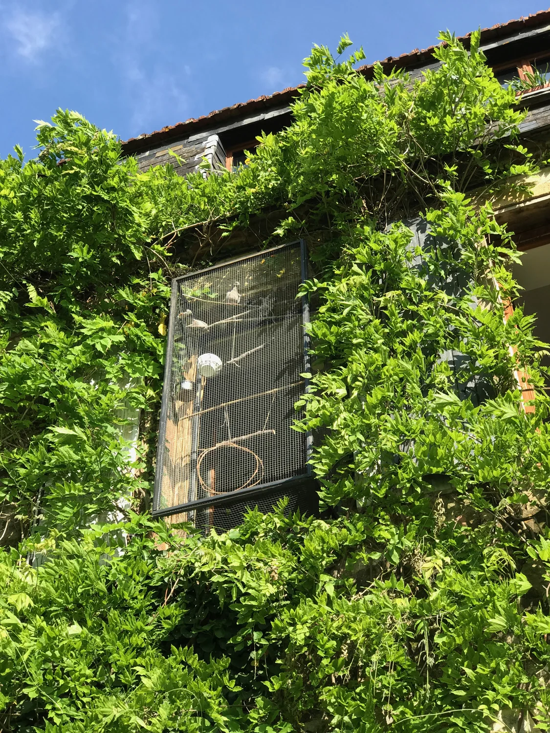 exterior close ss.jpg