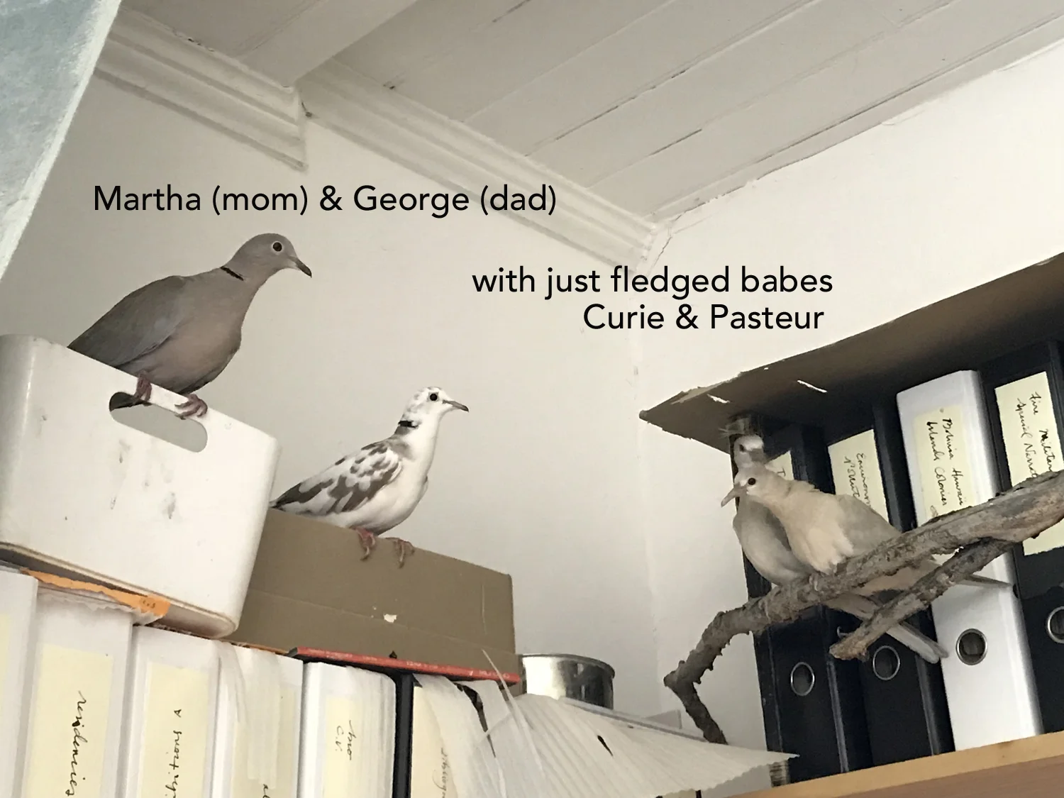 group pic before ss.jpg