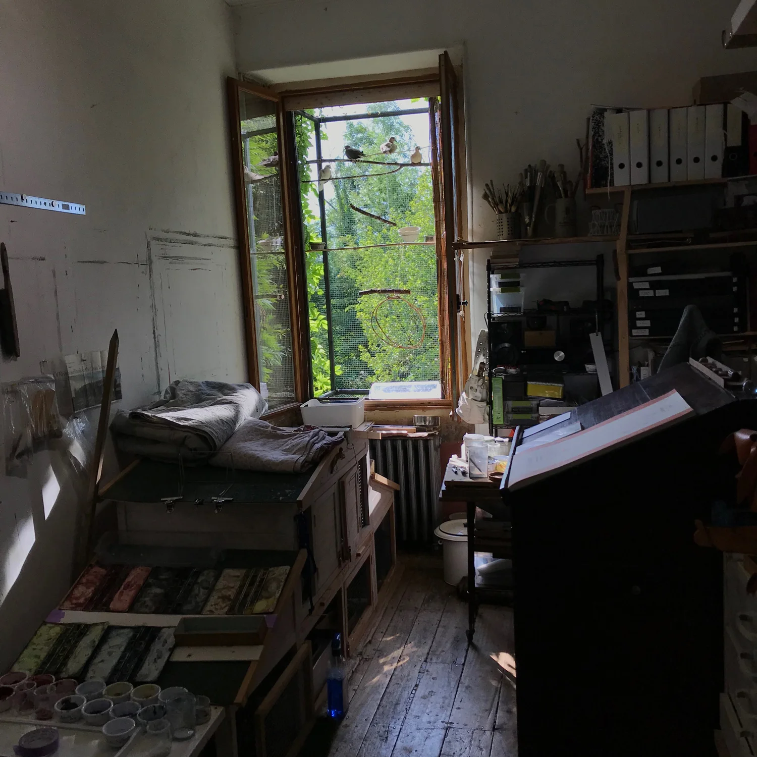studio view 2.jpg