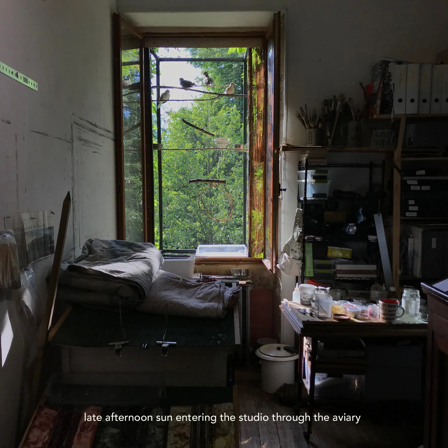studio view ss.jpg