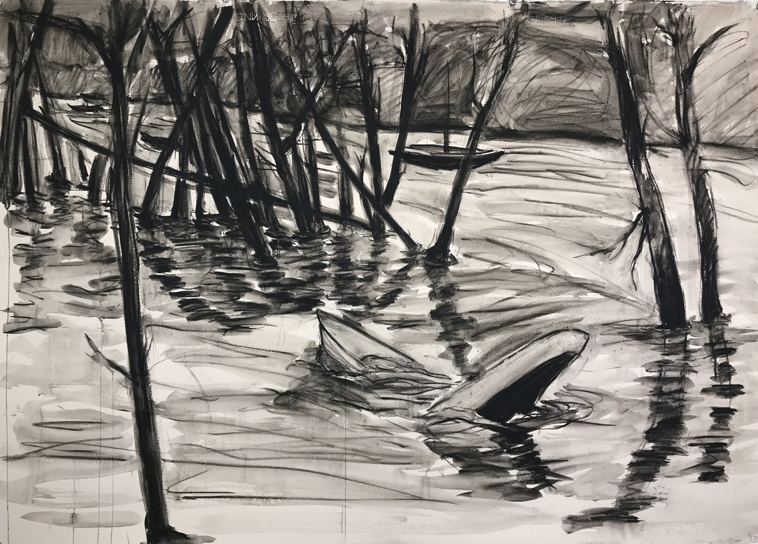 Dordogne Flood 2018 (seek out pretty subjects)